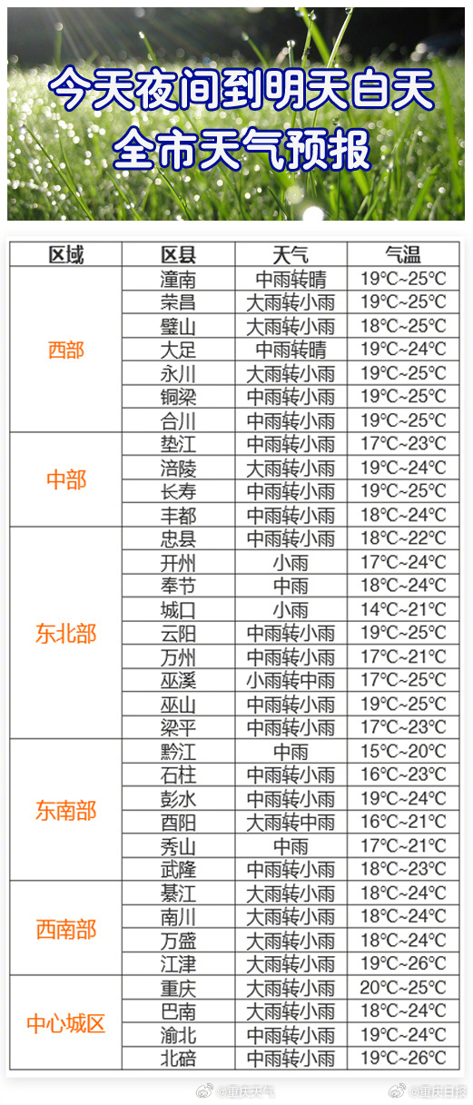 2025年3月 第1008页