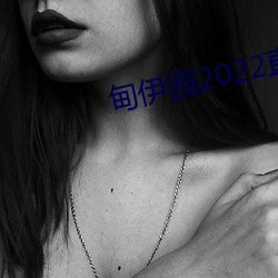 免费无码中文字幕A级毛片HD:04-14-24-33-41-43K：11,免费无码中文字幕A级毛片HD，探索优质影视资源的魅力
