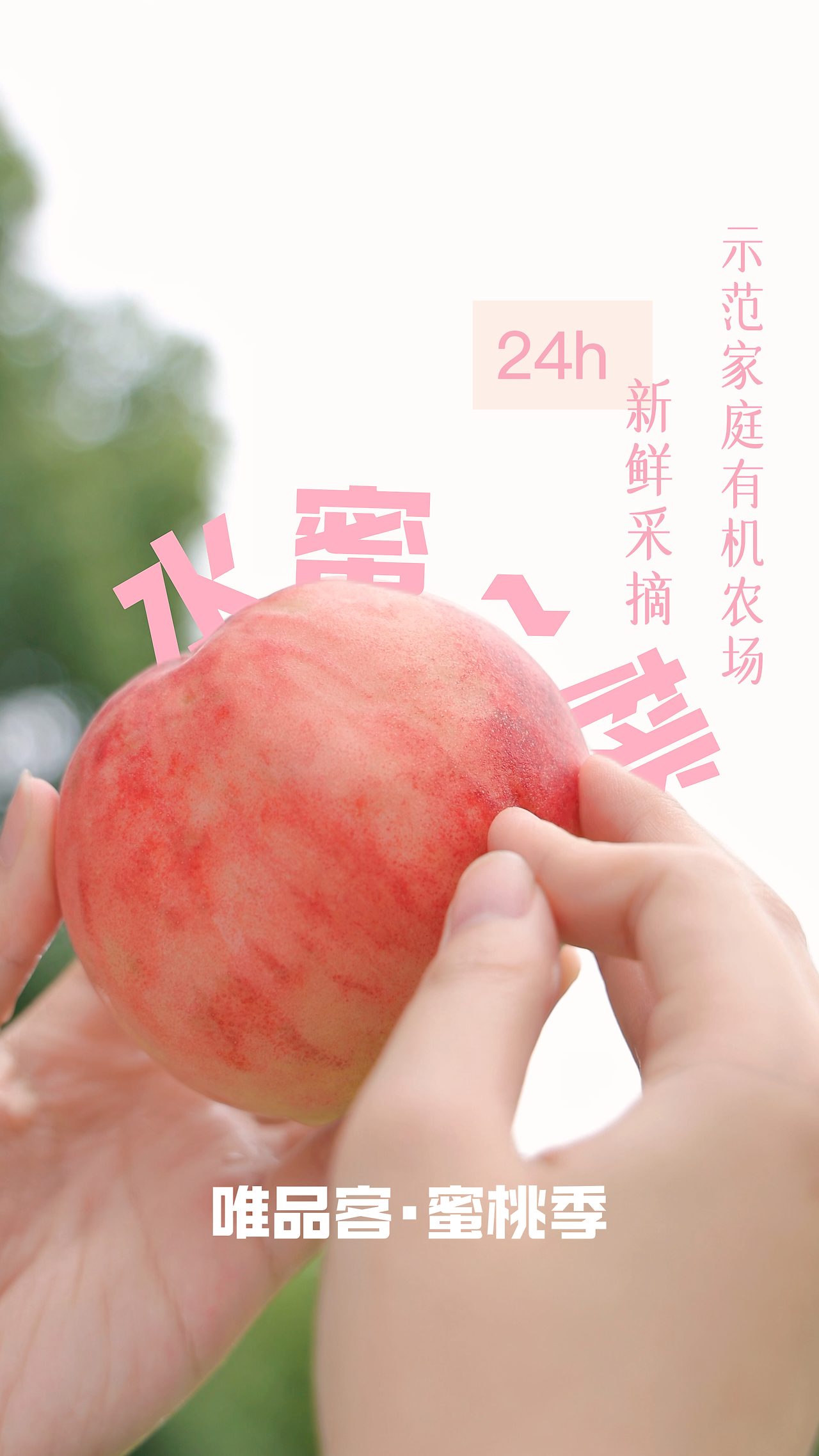 99久久99久久精品免费看蜜桃:07-14-19-28-37-42V：28,探索精品文化，免费欣赏蜜桃系列的深度之旅