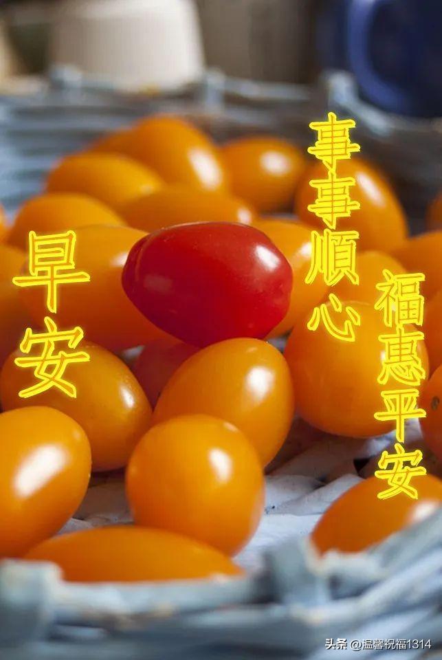 久久综合久久自在自线精品自:11-31-33-36-39-49P：14,久久综合，自在探索与精品生活的无限连接