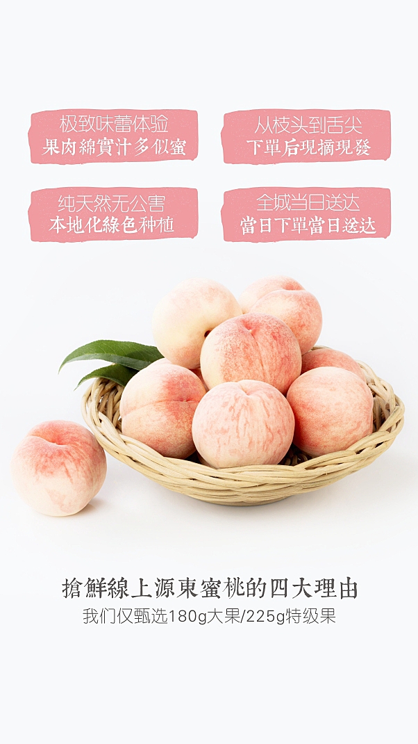 一本一本久久A久久综合精品蜜桃:29-32-33-36-40-48Y：35,一本一本久久A久久综合精品蜜桃，探索深度与广度的完美融合