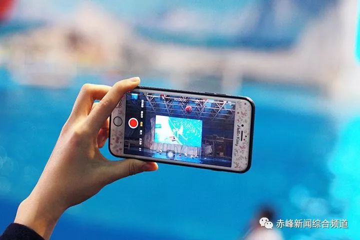 日本一二三区视频在线:01-05-09-36-41-45Y：45,探索日本一二三区视频在线，深度解析与多元体验