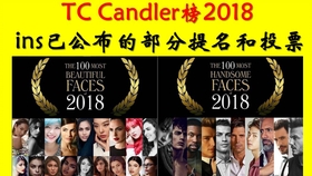 特级毛片A级毛片100免费播放:01-09-12-34-39-46G：44,特级毛片A级毛片免费观看，探索数字时代的影视娱乐新境界