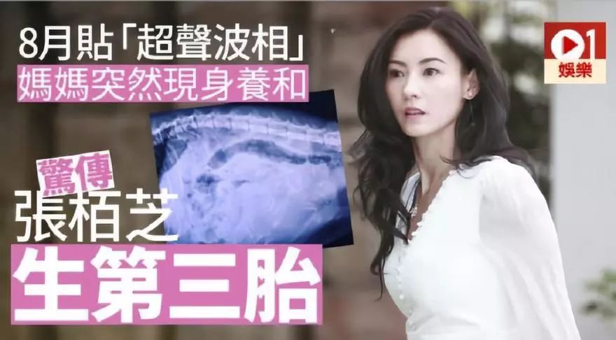 无码人妻精品一区二区三区下载:03-06-34-39-47-48Y：47,探索无码人妻精品一区二区三区，深度解析与体验分享