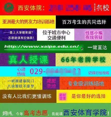 久久黄色网站:01-11-14-31-32-48R：06,久久黄色网站，探索数字背后的故事