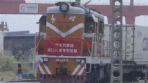 亚洲精品国产第一综合99久久:04-08-20-21-30-49U：44,亚洲精品国产的魅力，探索第一综合的魅力时光