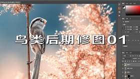 亚洲国产精品原创巨作av:01-18-28-43-45-47V：42,亚洲国产精品原创巨作，探索数字时代的文化精粹