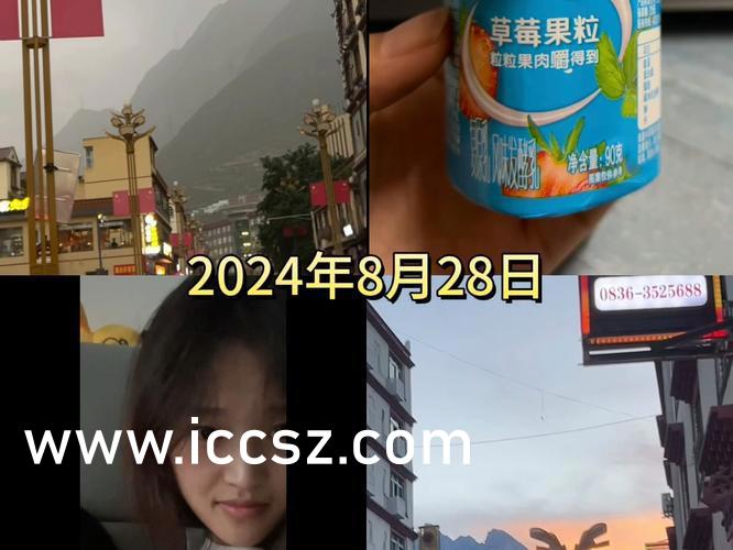 日本人妻丰满熟妇久久久久久:05-09-10-16-22-31W：23,日本丰满熟妇的文化魅力，探索人妻魅力的久久之旅