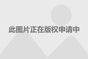 国产日产欧产美:04-12-29-33-39-45K：08,全球汽车产业的繁荣与变迁，国产、日产、欧产与美产的交融与碰撞