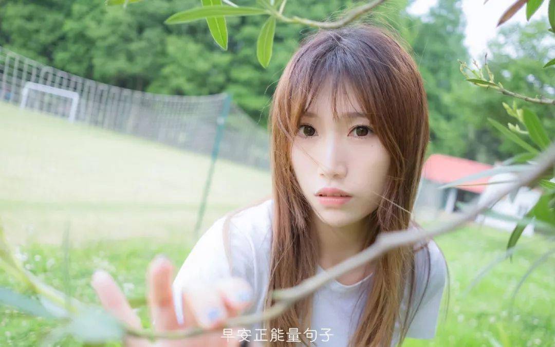 伊人精品无码AV一区二区三区:10-15-19-20-35-49D：21,伊人精品，探索一、二、三区的神秘数字与独特魅力