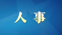 久久国产精品久久精:02-14-27-28-35-48Y：14,久久国产精品的魅力时光，深度探索与独特体验之旅