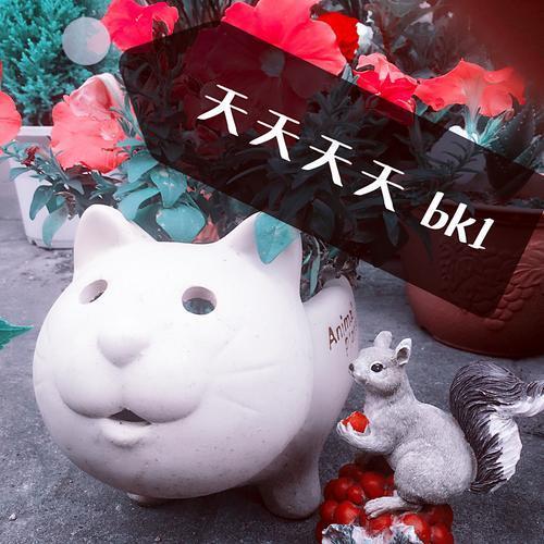 天天做天天爱天天爽天天综合:03-16-18-36-37-40L：37,天天做天天爱天天爽天天综合，探索生活的无限可能