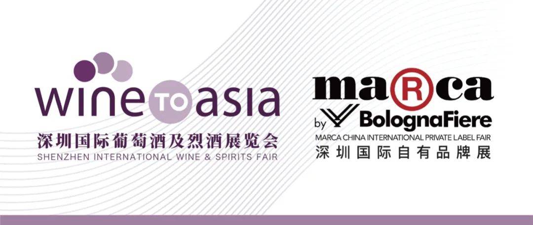 久久亚洲AⅤ精品网站:04-05-17-26-27-49X：42,久久亚洲AⅤ精品网站，探索优质内容的深度之旅