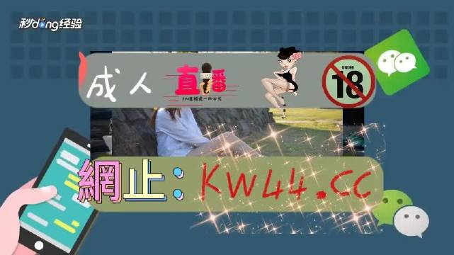 99久久综合狠狠综合久久:04-09-19-32-36-44X：46,探索99久久综合狠狠综合，深度解析与独特视角（附详细解析图）