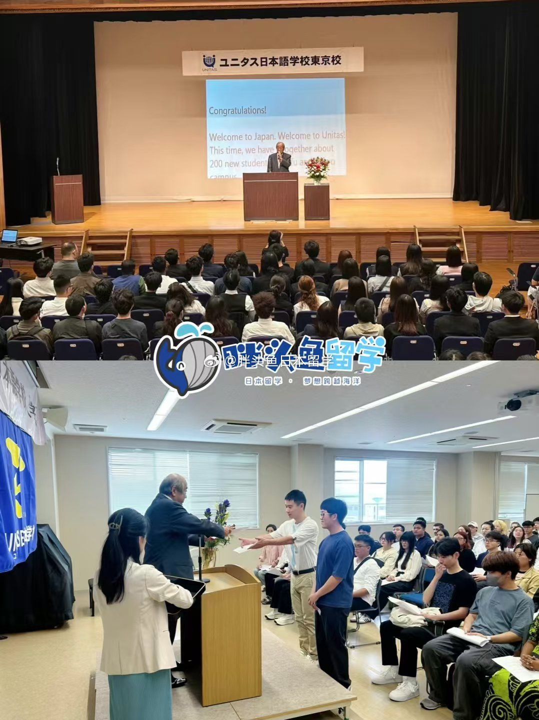 99欧美日本一区二区留学生:05-06-10-28-39-44L：46,跨越国界的留学生故事，欧美日本一区二区的文化碰撞与融合