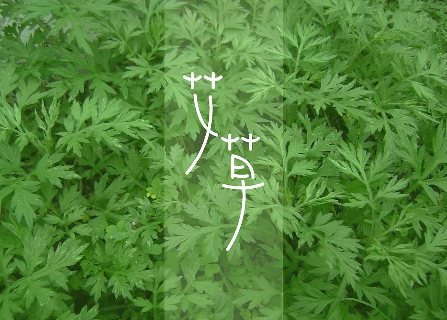 久久国产精品亚洲艾草网:03-22-27-34-38-40A：06,久久国产精品亚洲艾草网，探索优质内容与传统文化的新融合