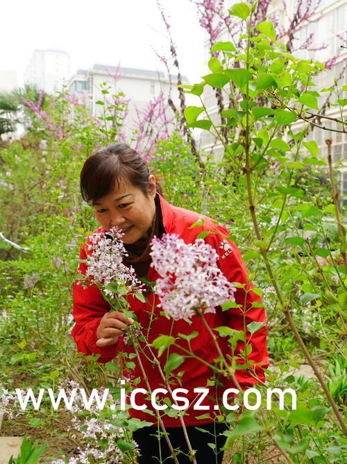 欧美精品狠狠色丁香婷婷:06-16-18-23-32-37T：20,欧美精品文化深度探索，色彩、丁香与婷婷的交融之美