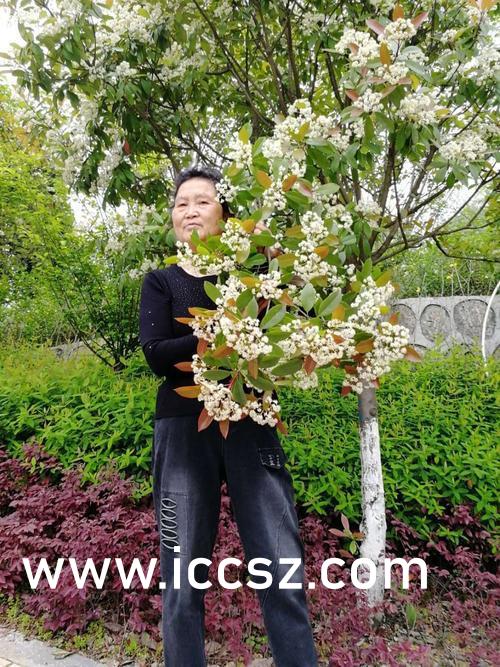 夜夜高潮夜夜爽国产伦精品:05-11-21-41-42-45A：01,夜夜高潮与国产精品的魅力，一场感官与情感的盛宴（文章原创）