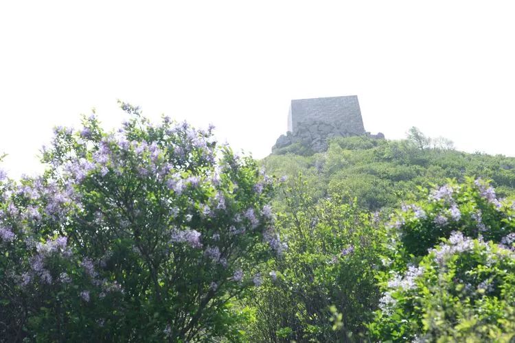 五月丁香六月综合AV:04-06-14-33-35-42M：38,五月丁香与六月综合，探索未知世界的神秘面纱