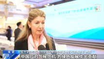 国产精品嫩草影院久久:04-17-23-29-31-42T：37,国产精品嫩草影院久久，探索中国影视文化的独特魅力与无尽可能