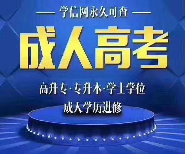 国产成人精选在线观看不卡:14-17-20-27-45-46F：13,关于国产成人精选在线观看不卡，深度探讨与体验分享