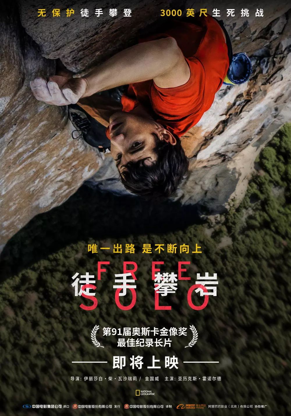 精品免费国偷自产在线视频:03-13-18-31-48-49D：37,探索精品免费国产在线视频的世界，深度解析与体验分享